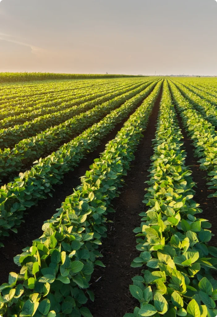 Hata Agri — Sustainable Living